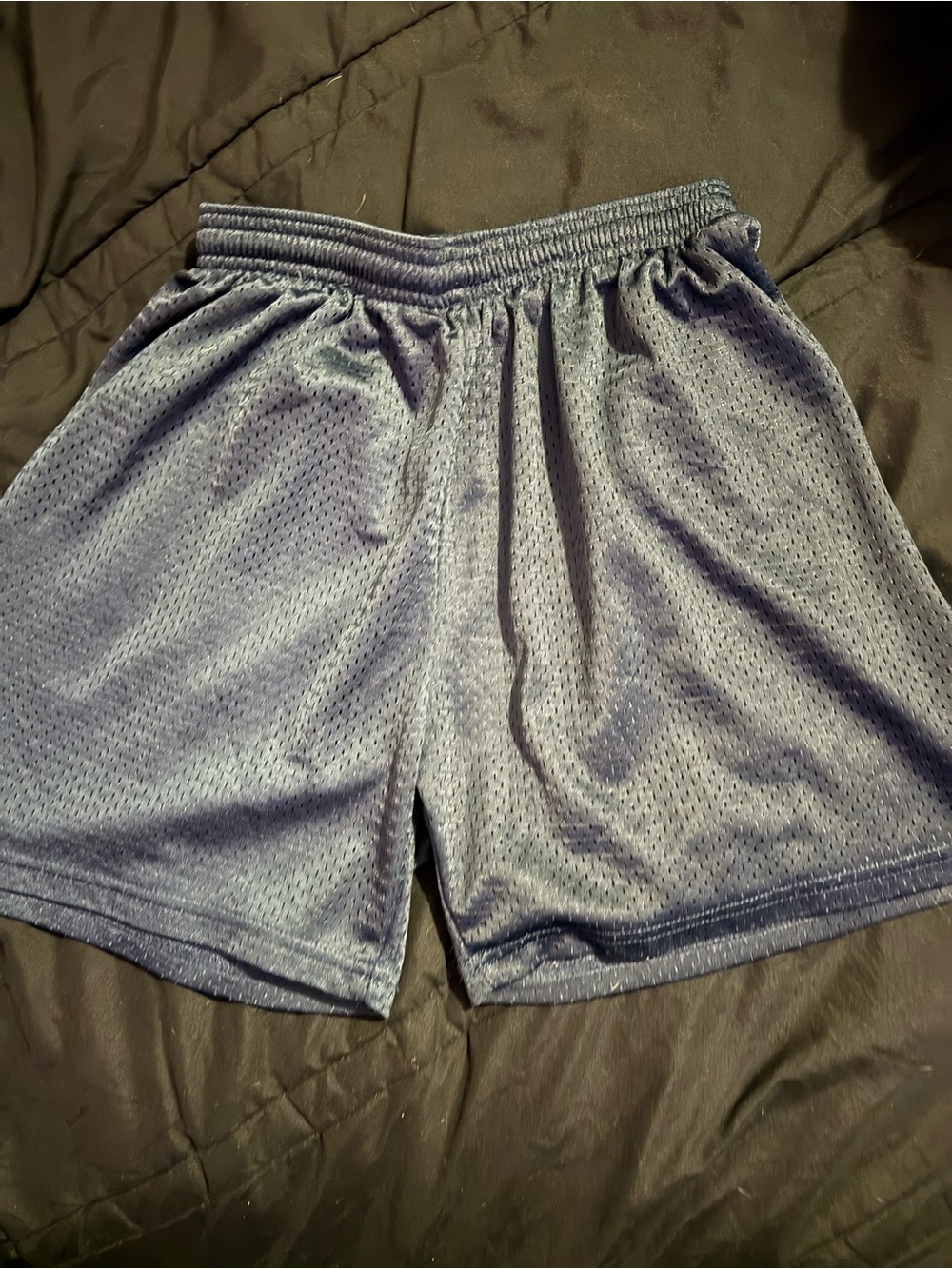 Mens Athletic Mesh Shorts in Dark Blue with Elastic Waist
